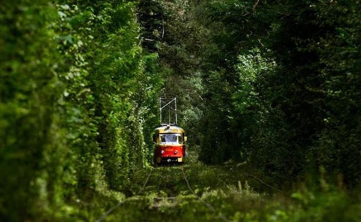 В Пущу-Водицу вернули трамвай