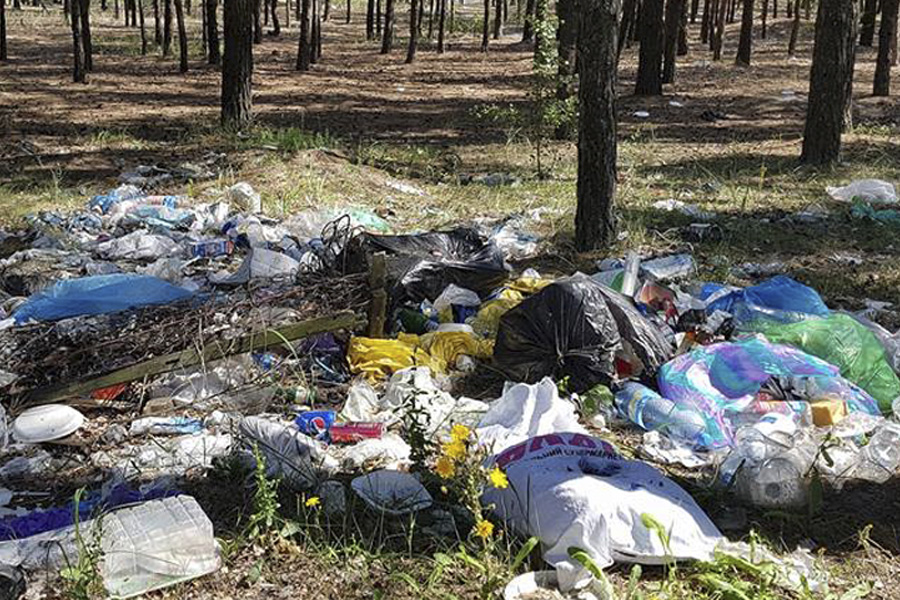 Киевские леса завалены мусором (фото)