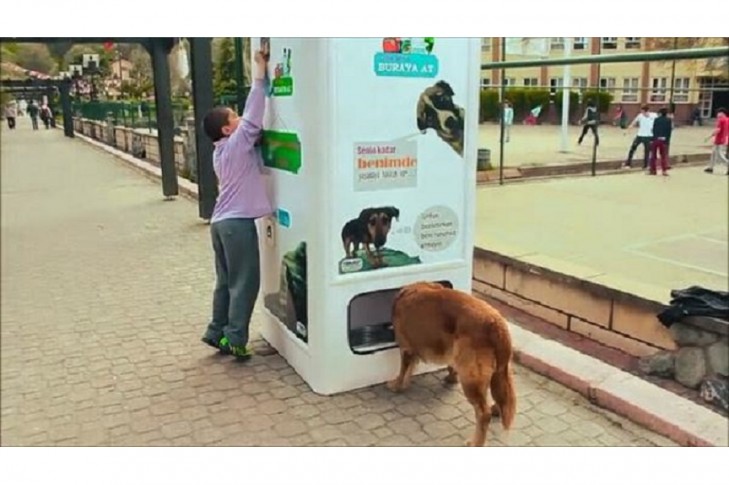 В Киеве предлагают установить автоматы для бездомных животных
