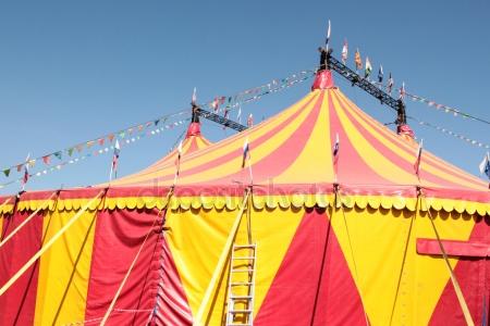 В скандальном цирке нашли больного корью