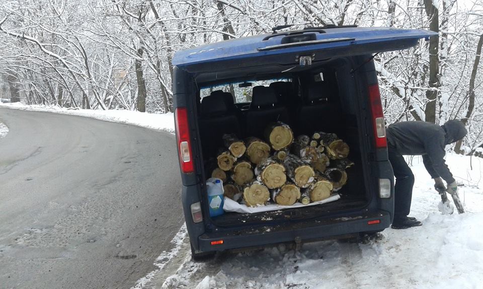В Киеве уничтожили деревья в охранной зоне