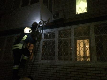 Под Киевом спасатели гонялись с лестницей за котом