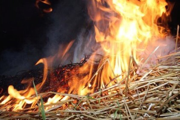 Под Киевом сгорела тонна сена