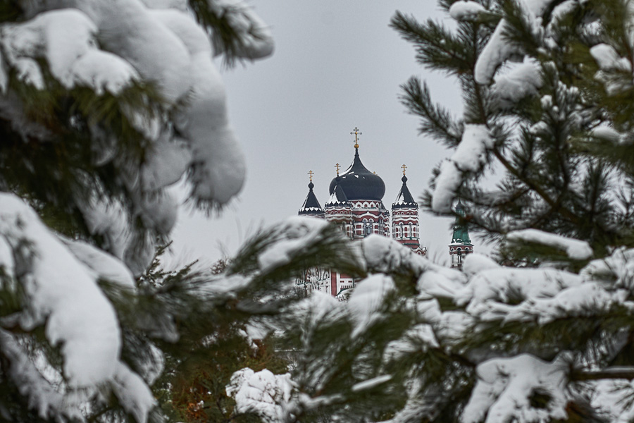 Киев засыплет снегом