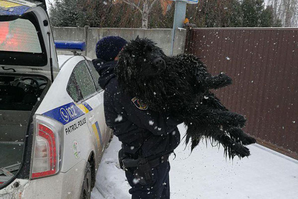 Полицейские спасли собаку