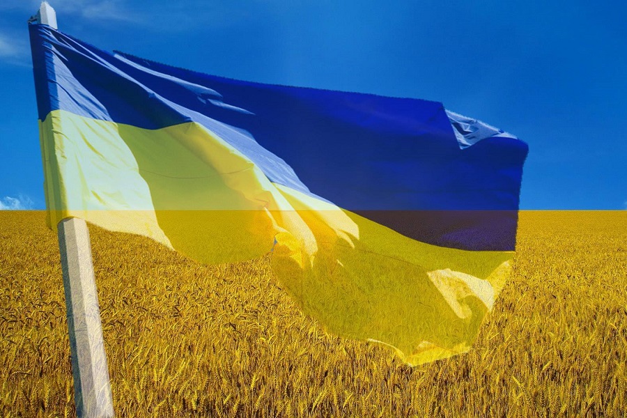 Киевсовет просит объявить Год украинского языка