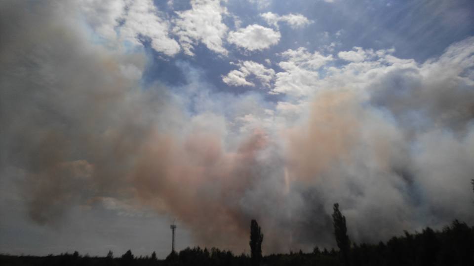 В Чернобыле горит рыжий лес (фото)