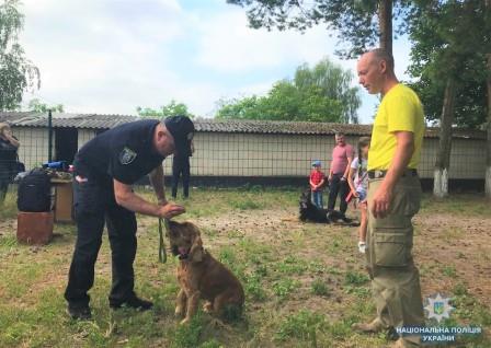 Полицейские будут учить детей тренировать собак