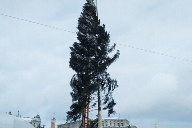 На Софийской площади устанавливают елку (видео)