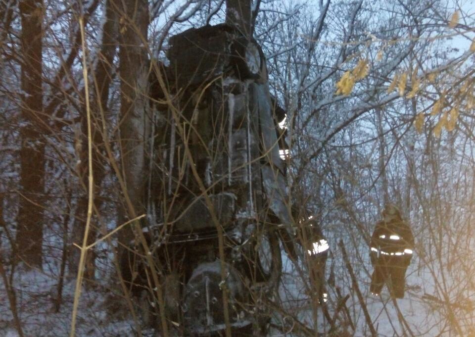 Под Киевом легковушка застряла в дереве