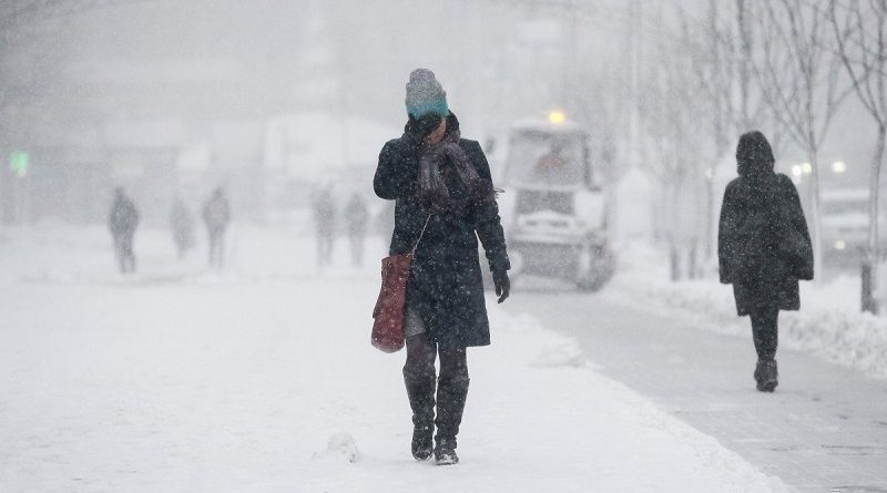 На Киев надвигается снегопад и метель