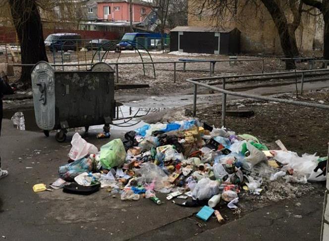 Борщаговка утопает в мусоре (фото)
