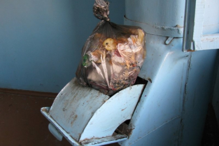 Киевлянам предлагают избавиться от мусоропроводов