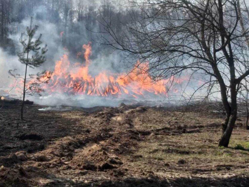 В Киеве сгорело 12 гектаров леса
