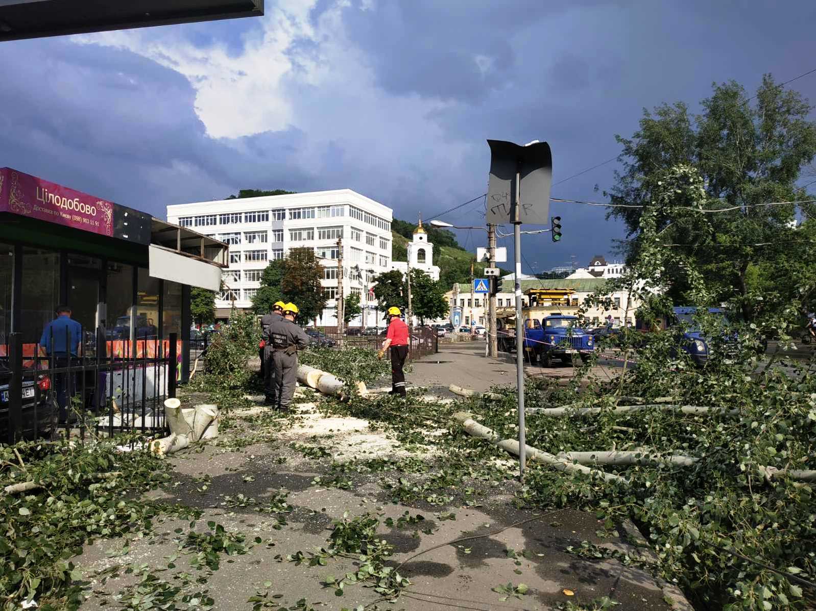 Стихия поломала в Киеве деревья