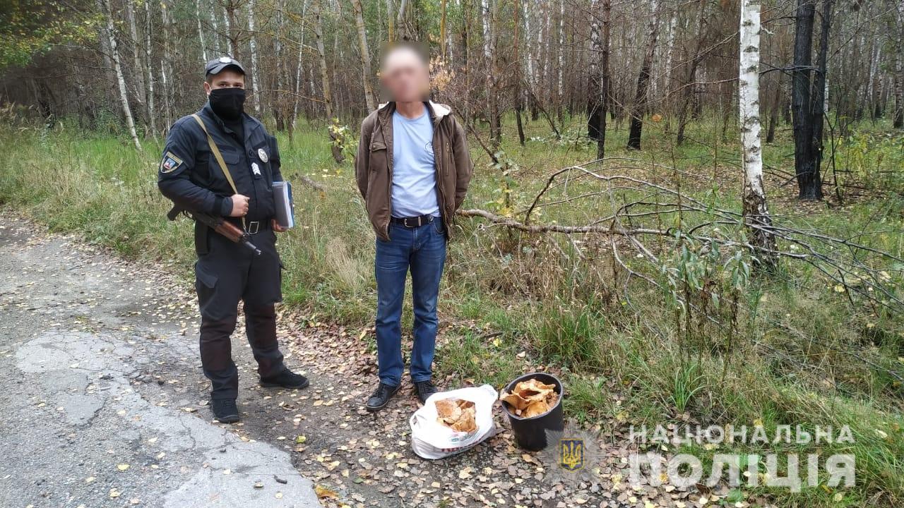 Из Чернобыльской зоны пытались вынести радиоактивные грибы
