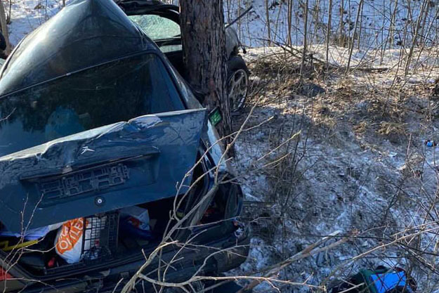 Под Киевом Mercedes врезался в дерево