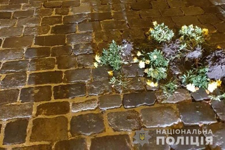 В Киеве приезжий совершил акт вандализма на аллее Героев Небесной Сотни