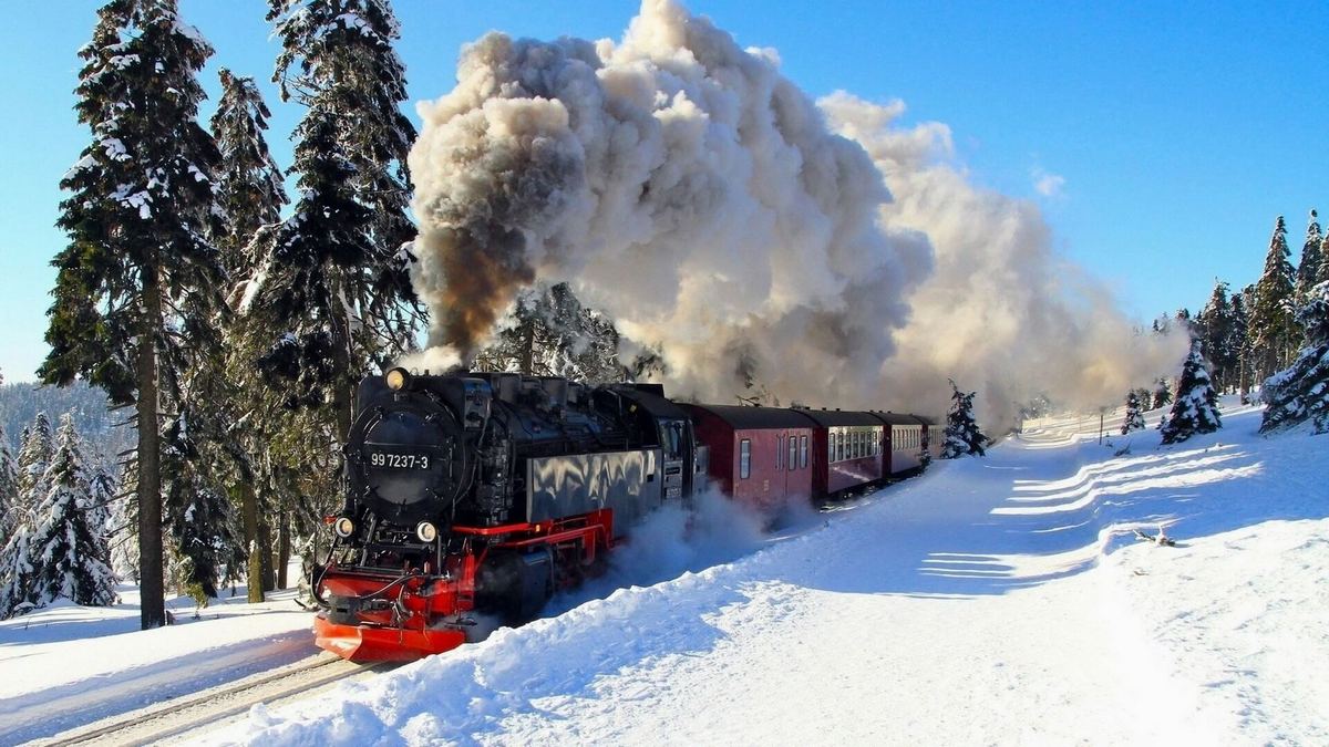 В Киеве детская железная дорога открыла зимнее движение поездов