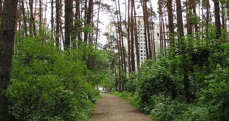 В Киеве запрещено посещать лесопарковые зоны из-за пожарной опасности 