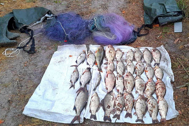 В Бориспольском районе браконьеры незаконно выловили рыбы на сумму 50 тысяч гривен