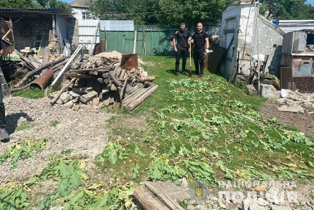 В Обуховском районе полицейские задержали нескольких местных жителей за хранение каннабиса и опиумного мака