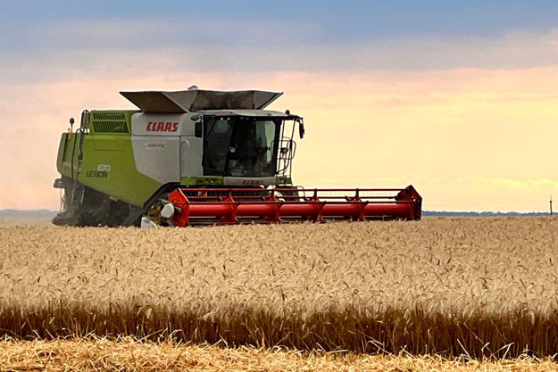 В Киевской области аграрии намолотили уже более 700 тысяч тонн зерновых и зернобобовых культур