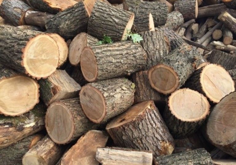 На Київщині шахраї продавали неіснуючі дрова
