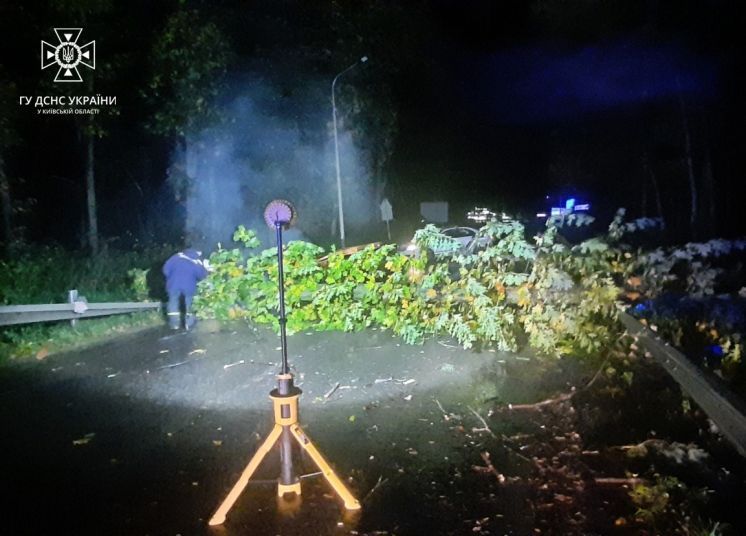 В Киевской области рухнувшее дерево перегородило дорогу