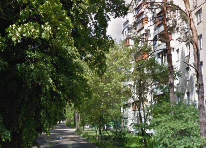 Улицу в Киеве переименовали в честь украинской писательницы