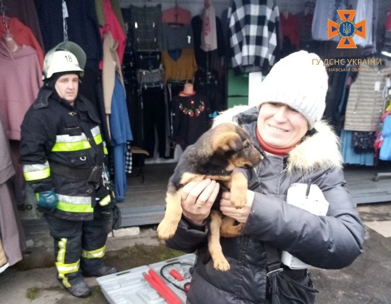 На рынке под Киевом из ловушки спасли щенка (фото)