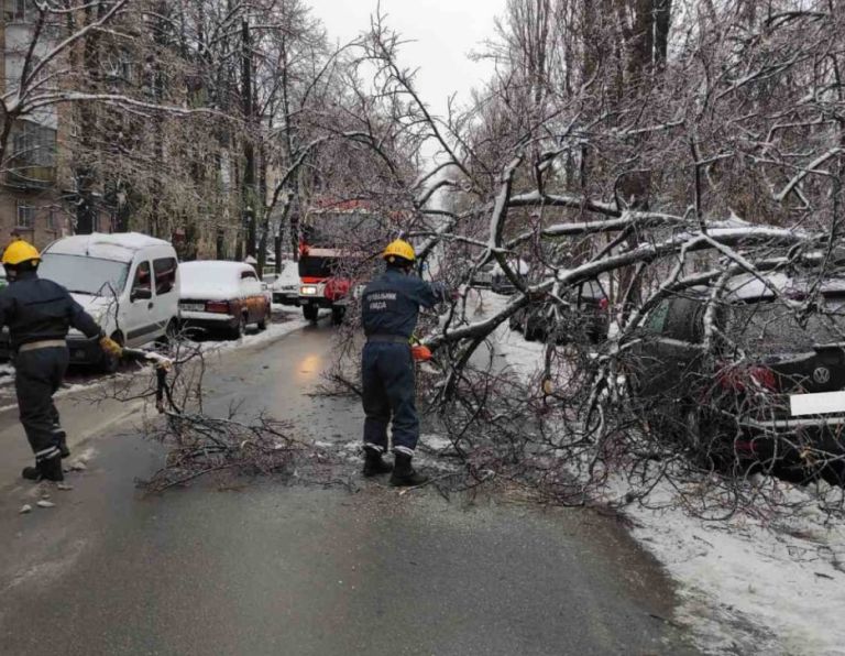 У Києві негода повалила сотню дерев