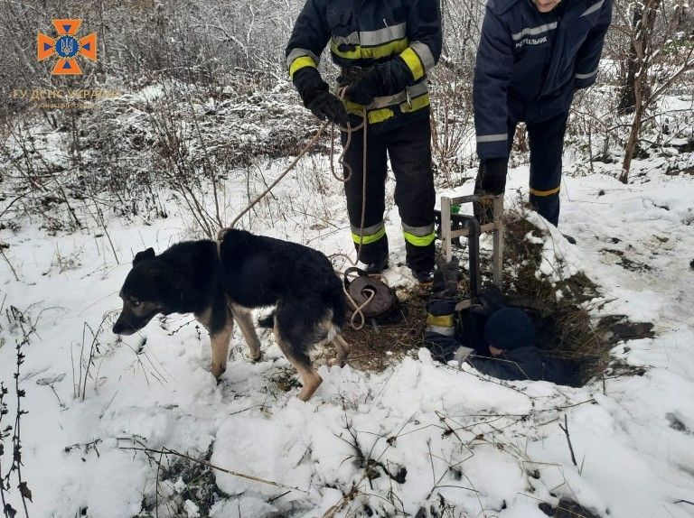 В Киевской области из ямы спасли собаку