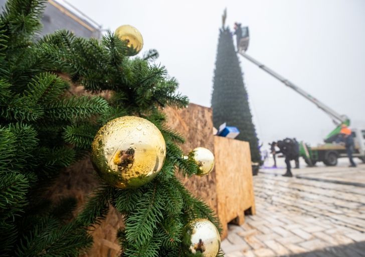 На Софийской площади устанавливают елку (фото)