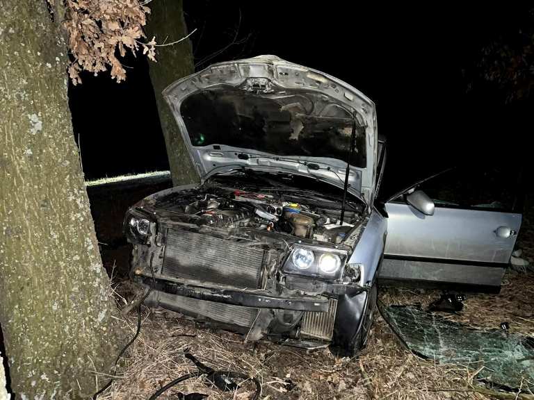 Под Киевом водитель врезался в дерево и погиб