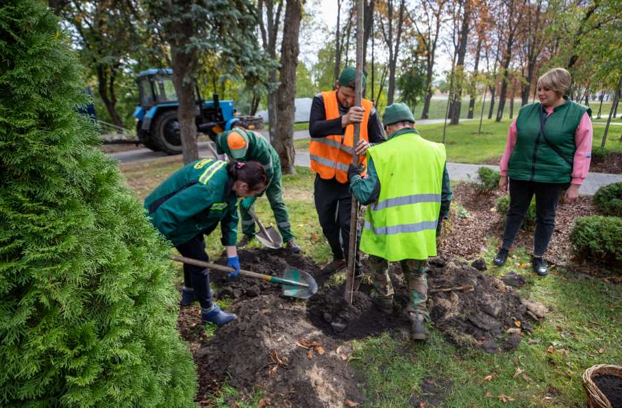 С начала года в Киеве высадили более 4 000 деревьев, почти 47 000 кустов и около 5,5 миллиона цветов