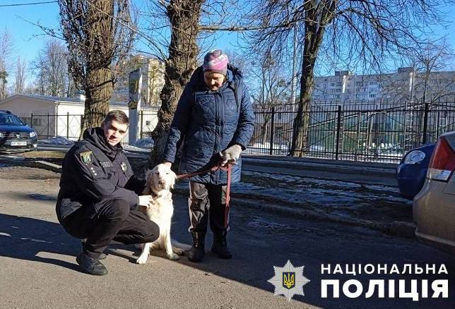 Решили, что бездомная: у киевлянки похитили оставленную под магазином домашнюю собаку