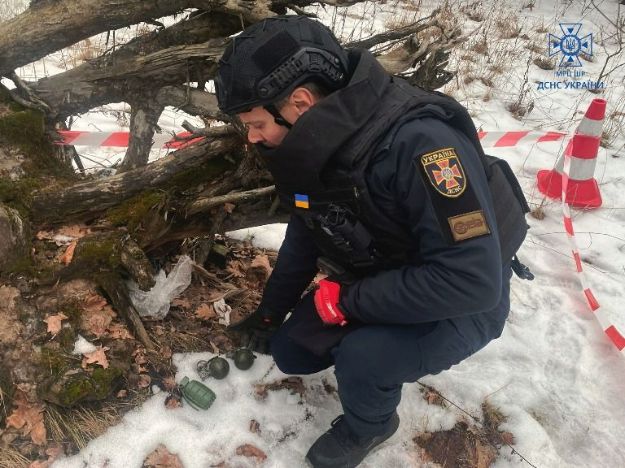 В лесу под Киевом нашли ручные гранаты