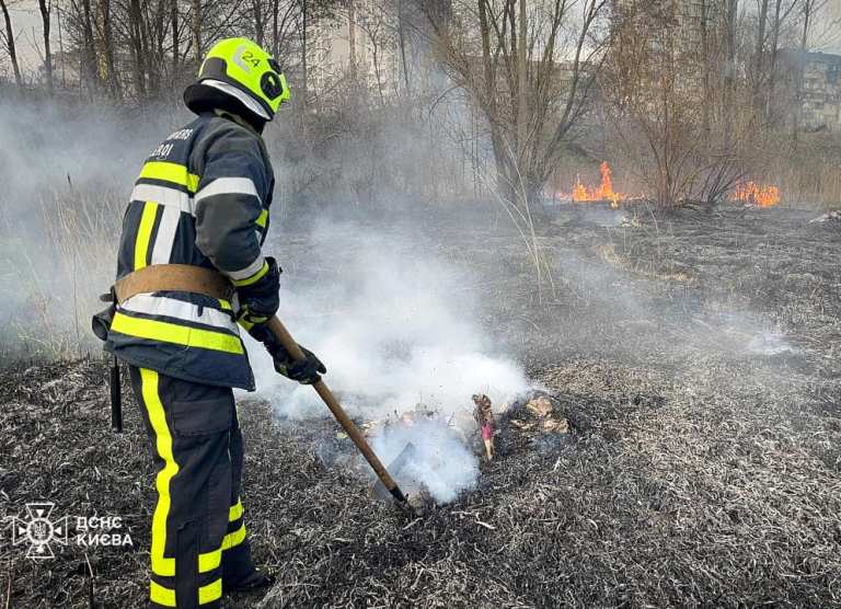 Возле озера в Киеве вспыхнул пожар (видео)