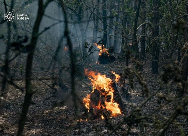 У Києві загасили масштабну пожежу в лісі