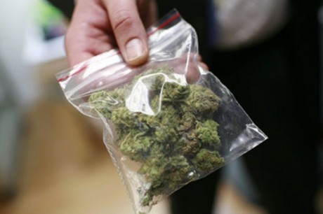 У киевлянина изъяли полтора килограмма марихуаны (фото)