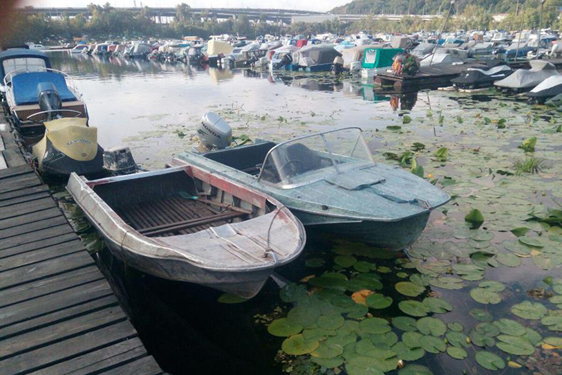 Бдительные граждане испортили киевлянину рыбалку (фото)