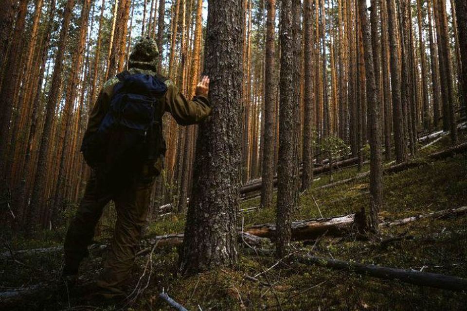 В киевском лесу потерялись мужчина с ребенком