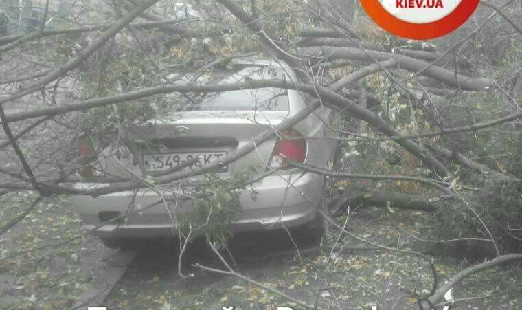 На Печерске дерево придавило автомобиль