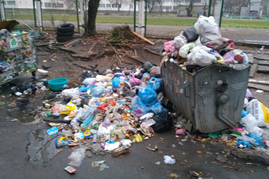 В Киеве перестали вывозить мусор
