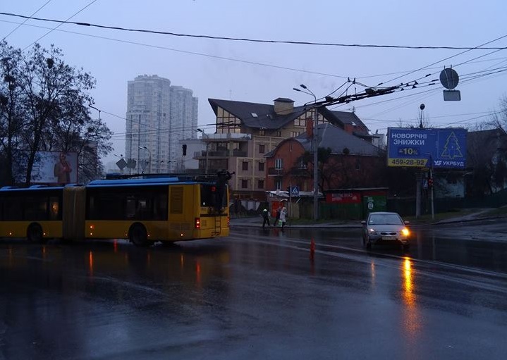 На Отрадном остановились троллейбусы
