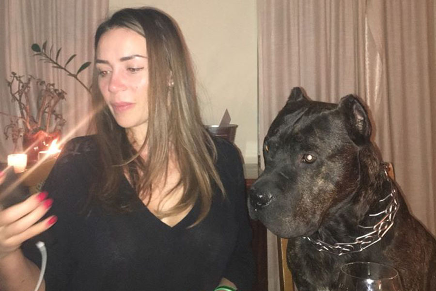 В Киев привезли опасную собаку из Харькова