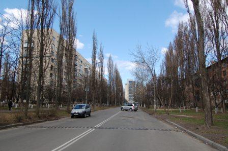 В Киеве предложили переименовать очередную улицу