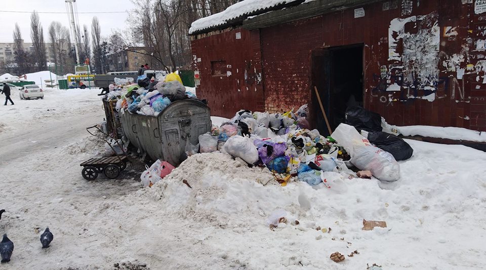 В Киеве не вывозят мусор (фото)