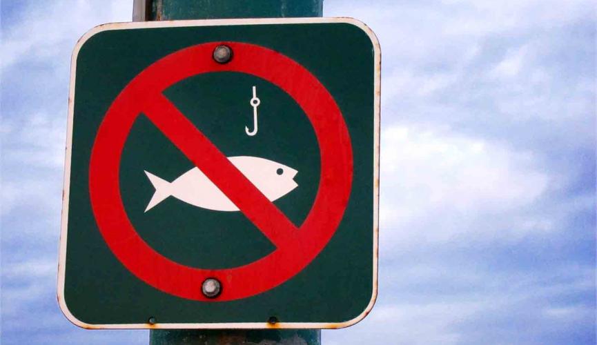 В Киеве запретят ловить рыбу